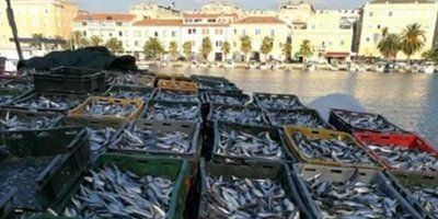 &#039;SVAKA ČAST ŠTO SE NETKO SJETIO SIROTINJE&#039; Nepoznati splitski ribar oduševio sugrađane, to se zove božićni duh!