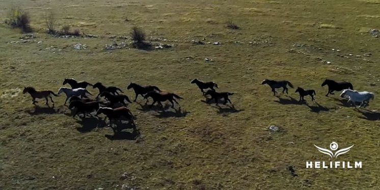 Livanjsko polje i vjetrenica postaju zaštićena područja