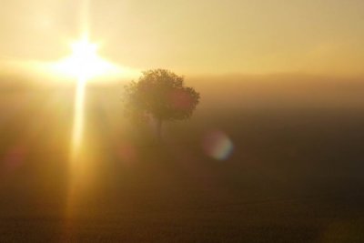 Evanđelje dana, 23.12.2025.