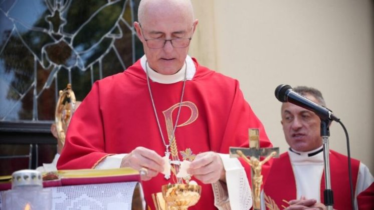 Oproštaj od nuncija Lingue